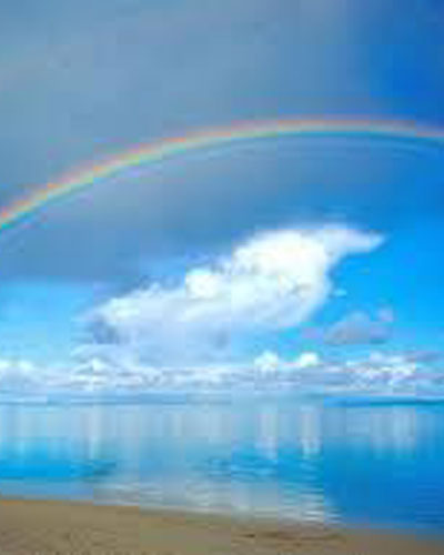 おばさんレンタル 千葉県千葉市 鷹の爪団